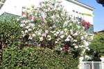 Мини-отель Le Midi Versilia Мини-отель Le Midi Versilia