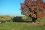 Отель Agriturismo I Mischi Отель Agriturismo I Mischi