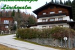 Апартаменты Appartment Lärchenalm Апартаменты Appartment Lärchenalm