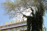 Отель Al Bustan Hotel Отель Al Bustan Hotel