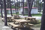 Отель Parque De Campismo Orbitur Gala Отель Parque De Campismo Orbitur Gala
