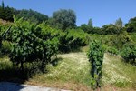 Апартаменты Quinta das Eiras Апартаменты Quinta das Eiras