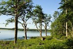 Хостел Aggarön Island Hostel & Cottages Хостел Aggarön Island Hostel & Cottages