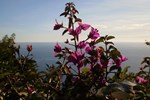 Мини-отель Chambre d'Hôtes Village de Roquebrune-Cap-Martin Мини-отель Chambre d'Hôtes Village de Roquebrune-Cap-Martin