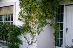 Апартаменты Passion fruit House Апартаменты Passion fruit House