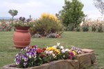 Отель Agriturismo I Romiti Отель Agriturismo I Romiti