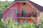 Гостевой дом Pensiunea Gavruta Гостевой дом Pensiunea Gavruta