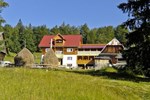Отель Pensiunea Scarisoara Отель Pensiunea Scarisoara