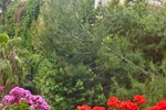 Мини-отель B&B Reginè Мини-отель B&B Reginè