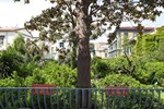 Гостевой дом The Bellini House B&B Гостевой дом The Bellini House B&B