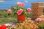 Апартаменты Mediterranea Gozo Апартаменты Mediterranea Gozo