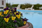 Мини-отель B&B Edelweiss Мини-отель B&B Edelweiss