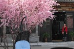 Отель Yunzhong Yi Traditional Inn Отель Yunzhong Yi Traditional Inn