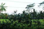 Гостевой дом Villa Kemuning Гостевой дом Villa Kemuning