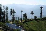 Вилла North Moon Homestay Вилла North Moon Homestay