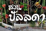 Отель Pallada Bromeliads Garden and Resort Отель Pallada Bromeliads Garden and Resort