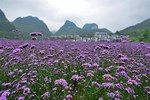Отель The Emperor Guizhou Libo Отель The Emperor Guizhou Libo