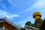 Отель Blossom Hill Inn - Shangri-la Отель Blossom Hill Inn - Shangri-la