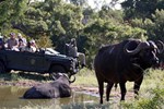 Отель Umlani Bushcamp Отель Umlani Bushcamp