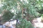 Отель Arika Villa Отель Arika Villa