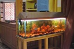 Гостевой дом Shivakashi Guest House Гостевой дом Shivakashi Guest House