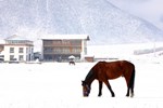Хостел Shangri-La Lao Shay Youth Hostel Хостел Shangri-La Lao Shay Youth Hostel