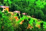 Отель Himalaya Darshan Resort Отель Himalaya Darshan Resort