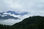 Отель Zen and Pine Resort Отель Zen and Pine Resort