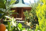 Отель Arcadia Hotel Отель Arcadia Hotel