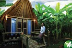 Отель Banana Forest Chiang Mai Homestay Отель Banana Forest Chiang Mai Homestay