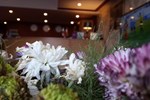Отель Merci Hotel Erbil Отель Merci Hotel Erbil