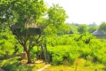 Отель Beddegama Ecopark - Yala Отель Beddegama Ecopark - Yala