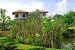 Вилла Villa Mangrove Вилла Villa Mangrove