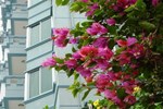 Отель Laurel Hotels Ltd. Отель Laurel Hotels Ltd.