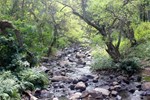 Отель Wander Land Campground Отель Wander Land Campground