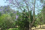 Отель Tenuta La Siesta Отель Tenuta La Siesta