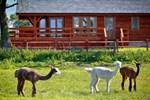 Апартаменты Lake View Lodge Апартаменты Lake View Lodge