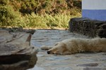 Хостел Casa no Campo Хостел Casa no Campo