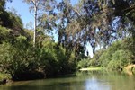 Отель Orange Tree Garden - Glamping Haven Отель Orange Tree Garden - Glamping Haven