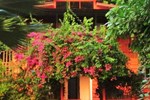 Гостевой дом Hostel Pura Vida Montezuma Гостевой дом Hostel Pura Vida Montezuma