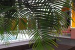 Вилла La Villa Des Tropiques Вилла La Villa Des Tropiques