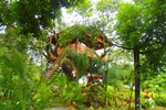 Отель Hotel Heliconias Отель Hotel Heliconias