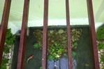 Отель Kisabel Hotel Отель Kisabel Hotel