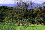 Апартаменты B&B La Finca Апартаменты B&B La Finca