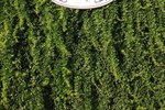 Мини-отель Lavender's Lodge Hotel Мини-отель Lavender's Lodge Hotel