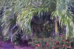 Вилла Villa On Short Term Rental Вилла Villa On Short Term Rental