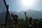 Отель Honey Dew Guest House Отель Honey Dew Guest House