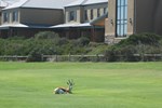 Отель The Lodge at Atlantic Beach Отель The Lodge at Atlantic Beach