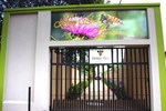 Гостевой дом Honey Bee Guesthouse Гостевой дом Honey Bee Guesthouse