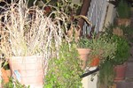 Гостевой дом Urvashi Guest House Гостевой дом Urvashi Guest House